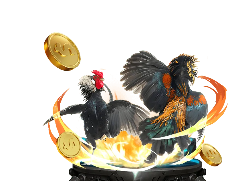 Các bước bắt đầu cá cược thể thao trực tuyến